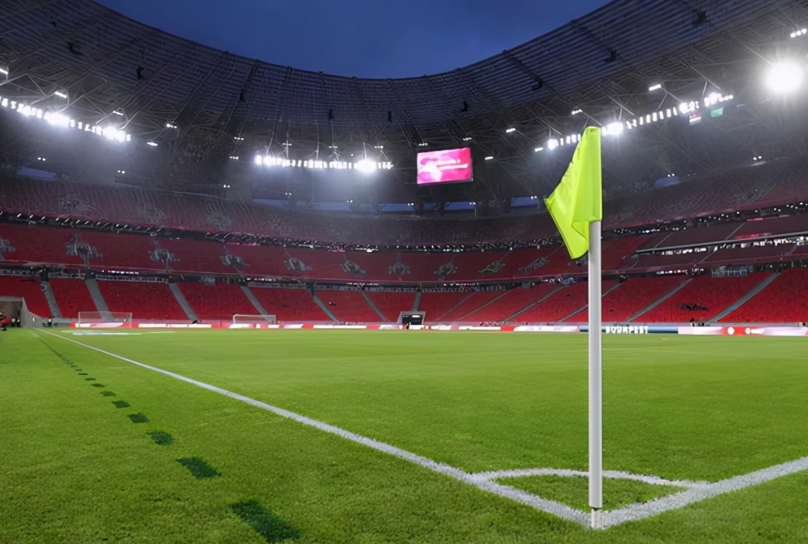 足球场规格大揭秘！欧洲杯比赛在球场尺寸方面有哪些要求？